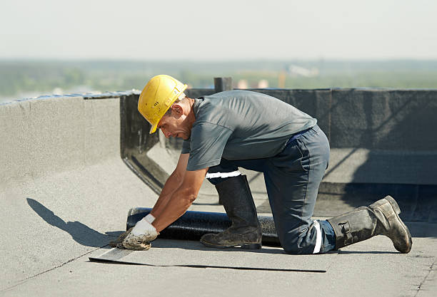 Best Insulation Installation Services in Lliams Bay, WI
